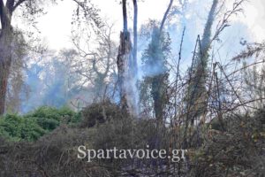 Πολύ υψηλός κίνδυνος πυρκαγιάς για την Λακωνία το Σάββατο 17.7.2021