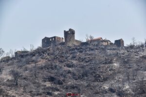 ΣΥΡΙΖΑ για την πυρκαγιά στην Μάνη –  Ο κρατικός μηχανισμός δεν λειτούργησε ικανοποιητικά