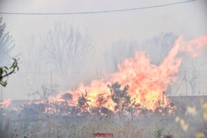 Ακραίος κίνδυνος πυρκαγιάς – Κατάσταση Συναγερμού για την Παρασκευή 6.8.2021
